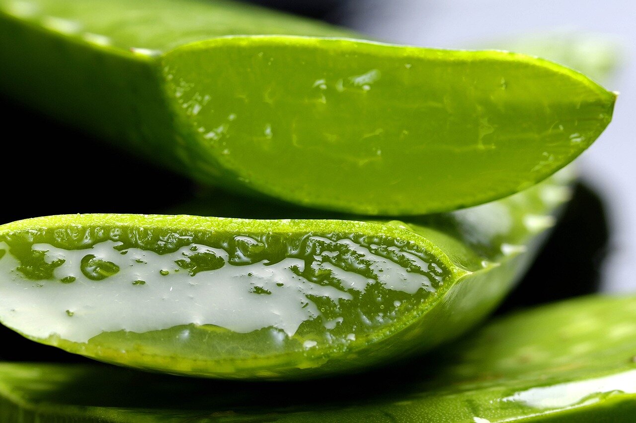 aloe-2163120_1280.jpg Aufgeschnittene Aloe-Vera-Blätter mit grünem Fleisch und glatter, gelartiger Innenschicht.