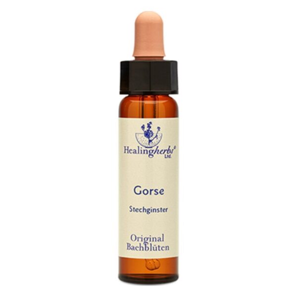 Braune Glasflasche mit Pipette, etikettiert mit 'Gorse Stechginster, Original Bachblüten' von Healing Herbs.