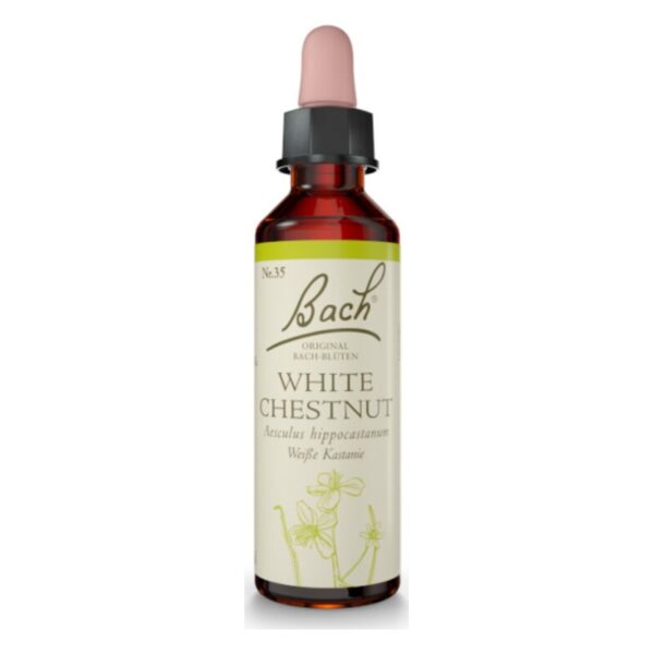 Bachblüten-Essenz White Chestnut in einer braunen Glasflasche mit Pipettenverschluss und blasser Etikettierung.