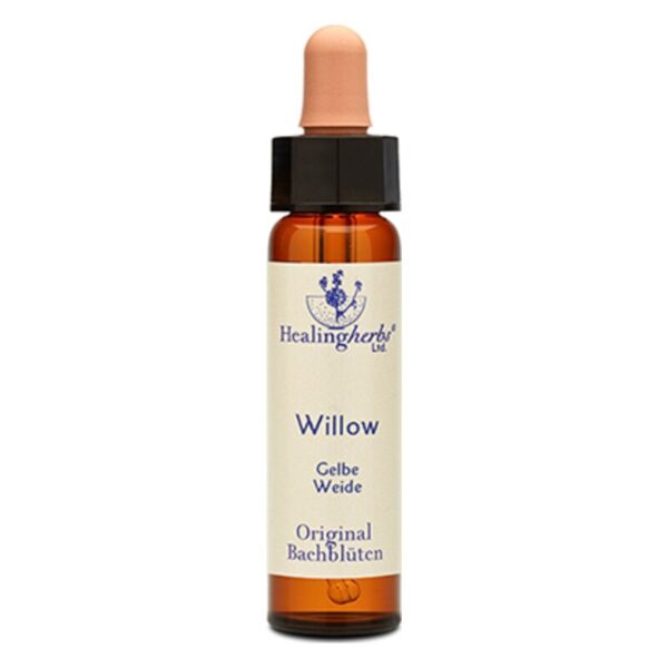 Braune Glasflasche mit Tropfverschluss, etikettiert mit "Willow - Gelbe Weide" von Healingherbs, für Bachblüten.