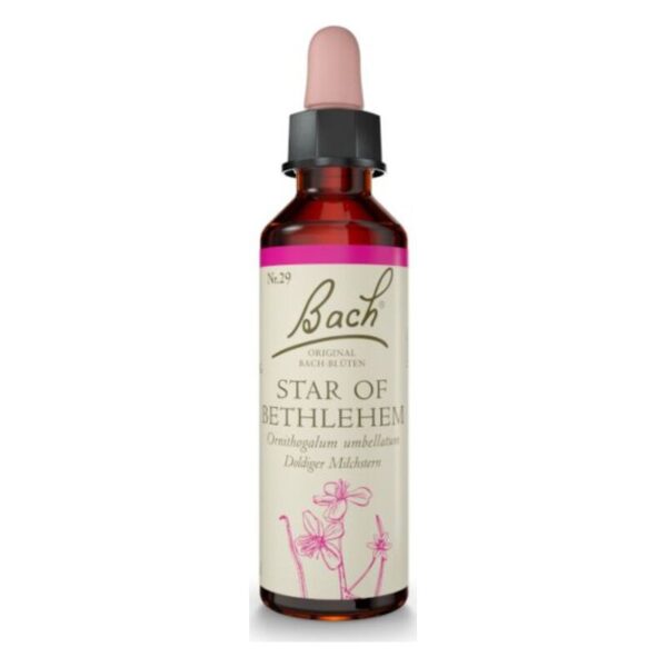 Braune Flasche mit Tropfverschluss für Bachblüten Nr. 29 "Star of Bethlehem" und floralem Design auf dem Etikett.