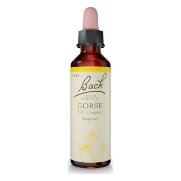 Braune Flasche mit schwarzem Deckel und Pipette, etikettiert mit 'Bach Gorse', zeigt Blumenmuster und Inhaltsstoffe.