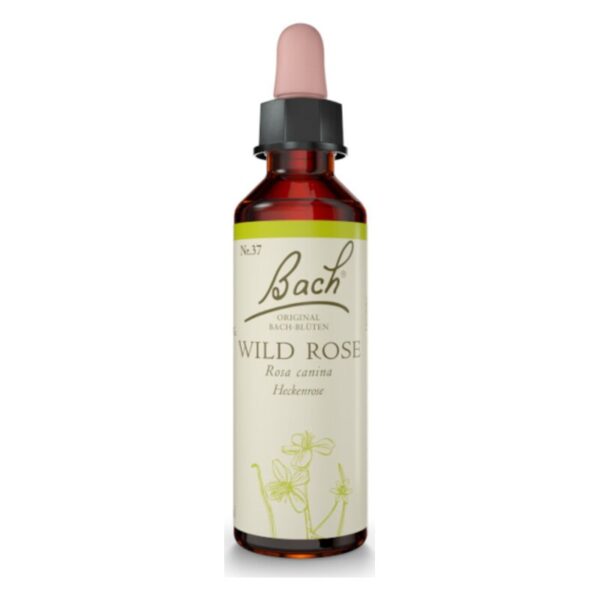 Braune Glasflasche mit Pipette, etikettiert mit "Wild Rose" und der Kennzeichnung "Bach Original Blüten".