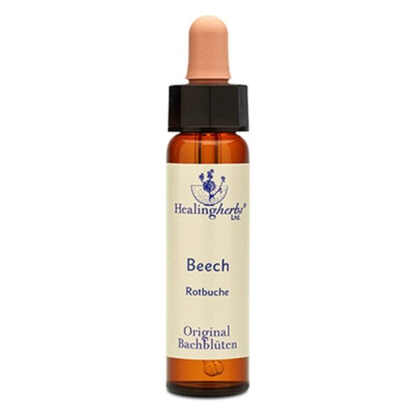 Braune Glasflasche mit Pipette, etikettiert mit 'Beech Rotbuche' und 'Original Bachblüten'.