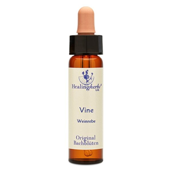 Braune Glasflasche mit Tropfer, etikettiert mit 'Vine - Weinrebe - Original Bachblüten' von Healingherb.