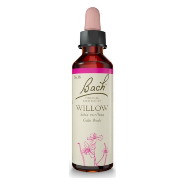 Flasche mit Bachblüten-Extrakt "Willow" (Nr. 38) in braunem Glas, mit Pipette und dekorativem Etikett.